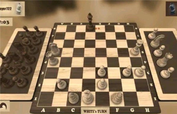 国际象棋单机版截图2
