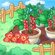 来种小番茄天降红包安卓版